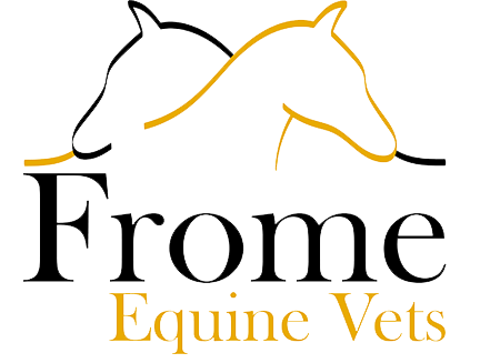 Frome Equine Vets