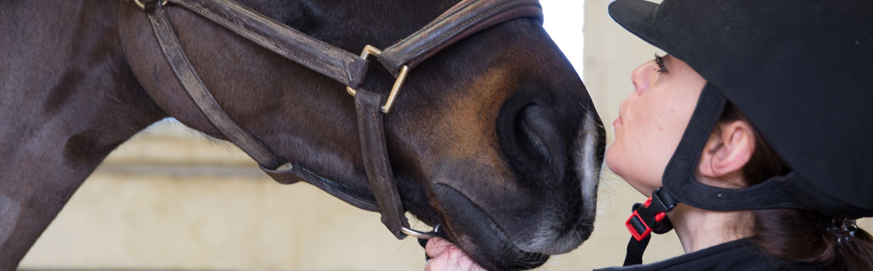 Coughing and equine asthma